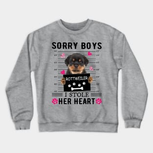 Rottweiler Sorry Boys I Stole Her Heart Happy Valentine's Day Crewneck Sweatshirt